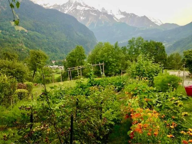 Cosy Alpine Flat With Great Views Of Mont Blanc Apartment Servoz